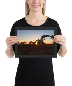 Alternative view of Inramad poster - Solnedgång