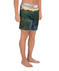 Alternative view of Shorts - Stigen till havet