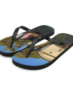 Alternative view of Flip-Flops - Badhytter