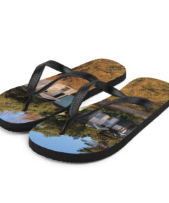 Alternative view of Flip-Flops - Badhytter