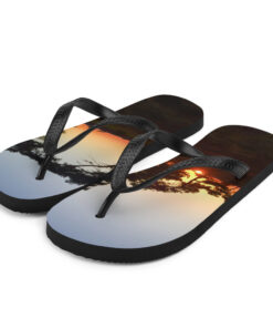 Alternative view of Flip-Flops - Solnedgång