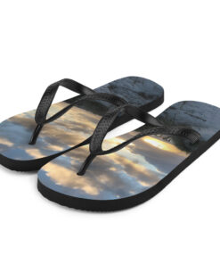 Alternative view of Flip-Flops - Stranden