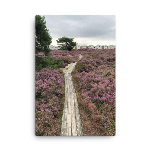 Canvas - Stig i ljung