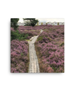 Alternative view of Canvas - Stig i ljung