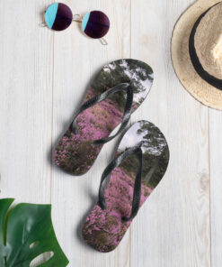 Alternative view of Flip-Flops - Ljungen i blom