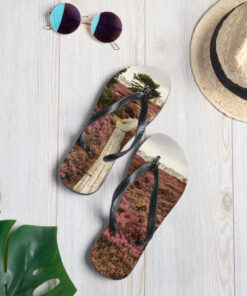 Alternative view of Flip-Flops - Stig i ljung