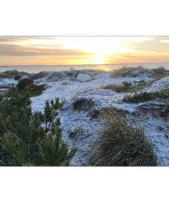 Dörrmatta - Strand